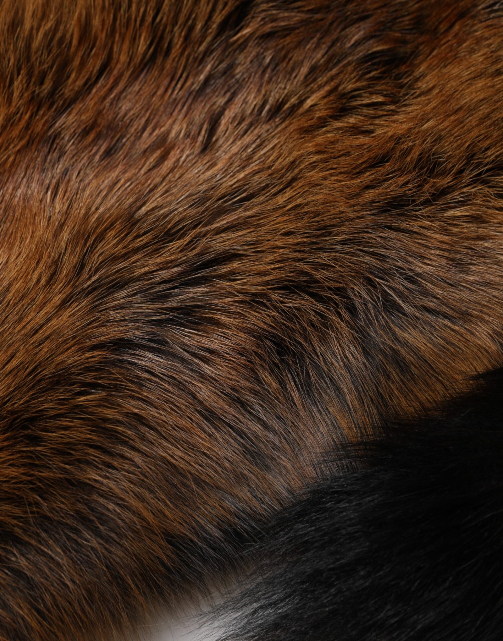 Dolce & Gabbana Brown Red Fox Fur Neck Cashmere Warmer Scarf - Image 8